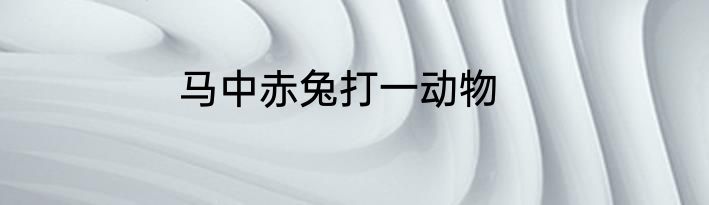 马中赤兔打一动物