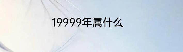 19999年属什么