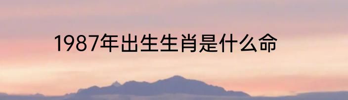 1987年出生生肖是什么命