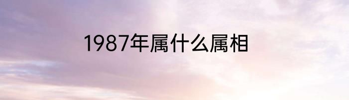 1987年属什么属相