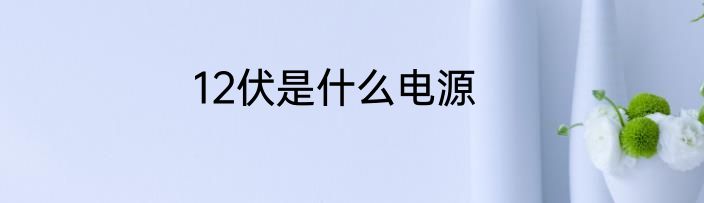 12伏是什么电源
