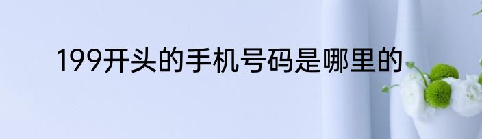 199开头的手机号码是哪里的