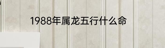 1988年属龙五行什么命