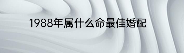 1988年属什么命最佳婚配