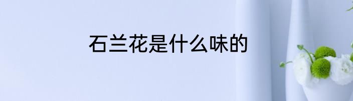 石兰花是什么味的