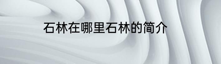 石林在哪里石林的简介