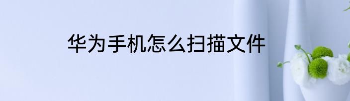 华为手机怎么扫描文件