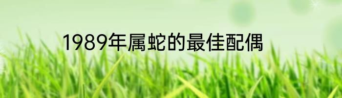 1989年属蛇的最佳配偶