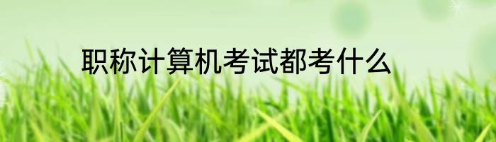 职称计算机考试都考什么