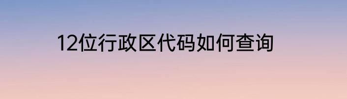 12位行政区代码如何查询