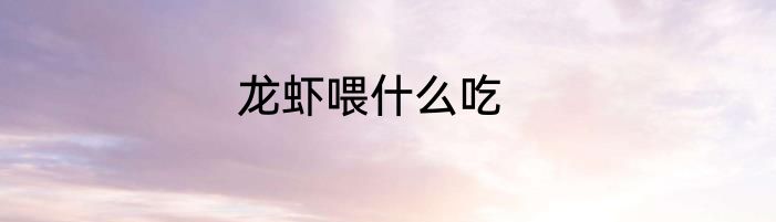 龙虾喂什么吃