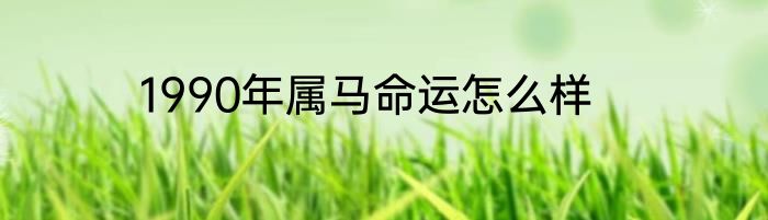 1990年属马命运怎么样