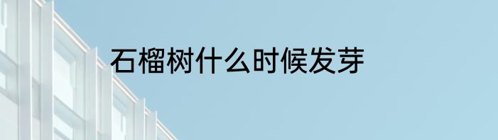 石榴树什么时候发芽