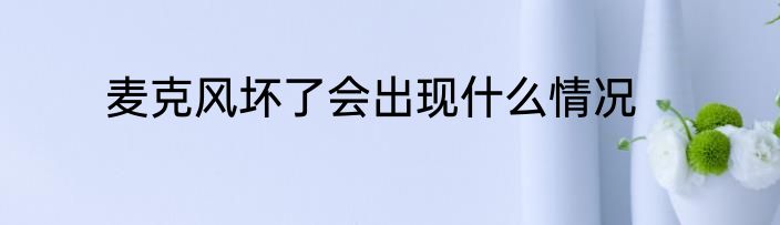 麦克风坏了会出现什么情况