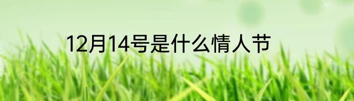 12月14号是什么情人节