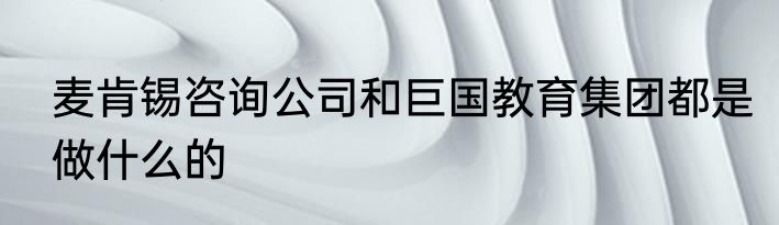 麦肯锡咨询公司和巨国教育集团都是做什么的