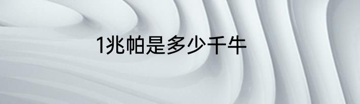 1兆帕是多少千牛