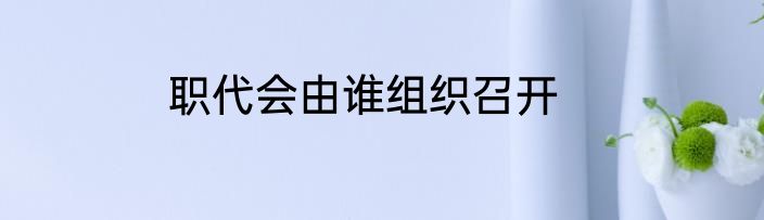 职代会由谁组织召开