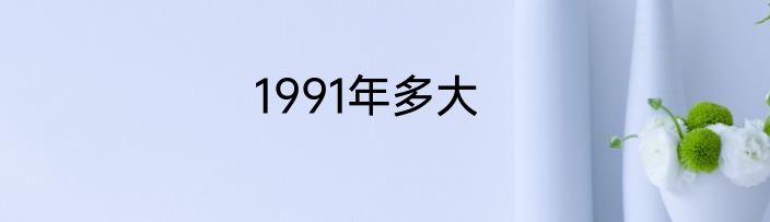 1991年多大