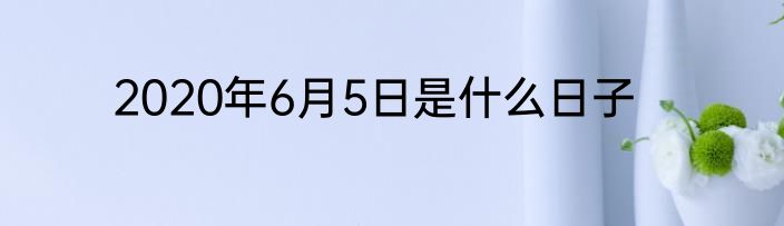 2020年6月5日是什么日子