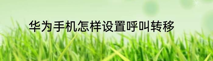 华为手机怎样设置呼叫转移