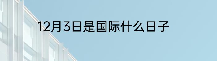12月3日是国际什么日子