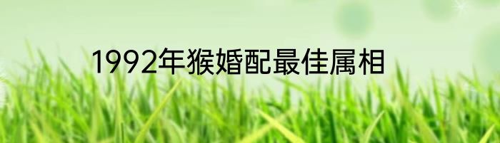 1992年猴婚配最佳属相