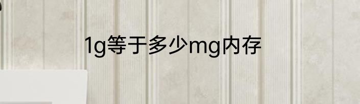 1g等于多少mg内存