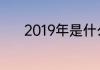 2019年是什么生肖年什么属性