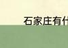 石家庄有什么特产可以送人