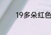 19多朵红色玫瑰花什么意思