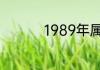 1989年属蛇的最佳配偶