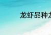 龙虾品种龙虾品种有哪些