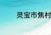 灵宝市焦村桃子在哪个位置