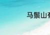 马鬃山有无烟煤矿吗