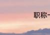 职称一般写什么