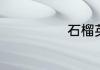 石榴英语怎么读