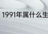 1991年属什么生肖1991年生肖的简介