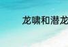龙啸和潜龙之啸有什么区别