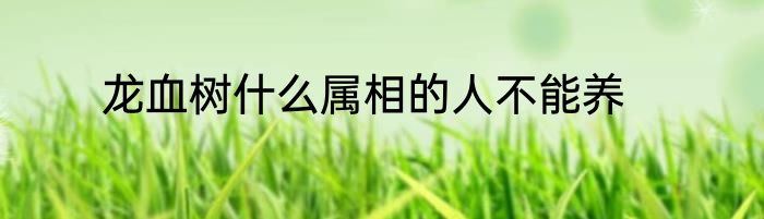 龙血树什么属相的人不能养
