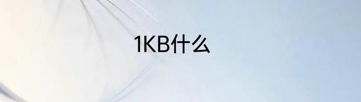 1KB什么