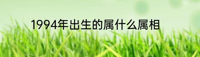 1994年出生的属什么属相