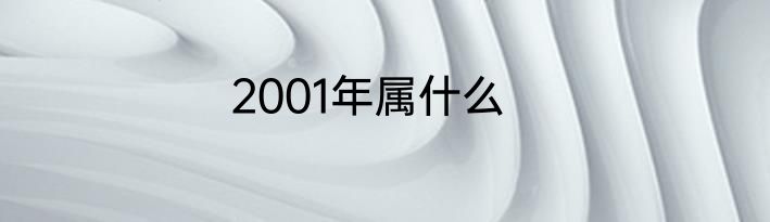 2001年属什么