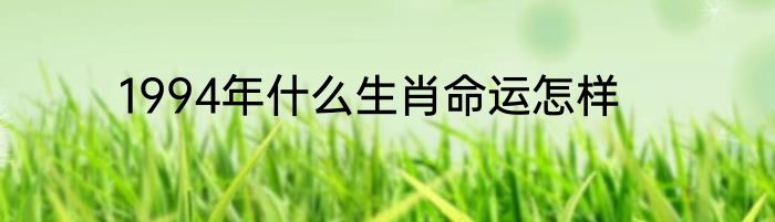 1994年什么生肖命运怎样