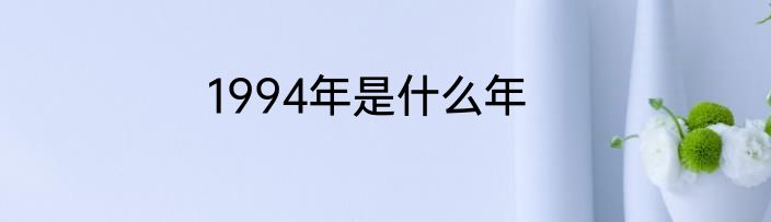 1994年是什么年