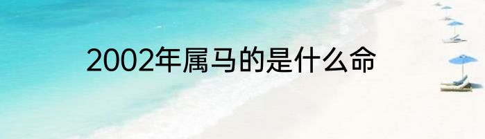 2002年属马的是什么命