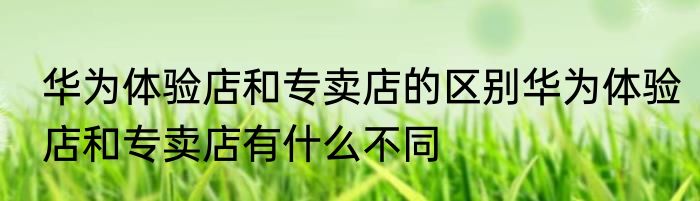 华为体验店和专卖店的区别华为体验店和专卖店有什么不同