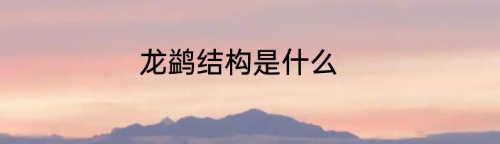 龙鹢结构是什么