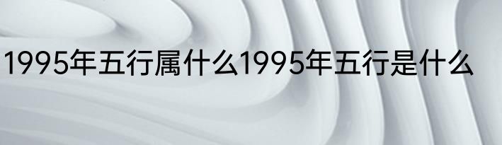 1995年五行属什么1995年五行是什么