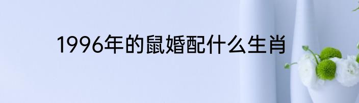 1996年的鼠婚配什么生肖